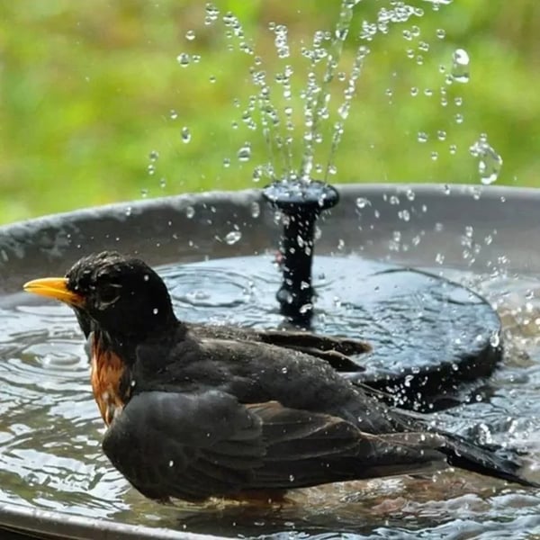 🎁☀️Solar Fountain, Solar Powered Bird Bath Fountain Pump with 4 Nozzles 1.4W Solar Panel Kit Water Pump, Outdoor Watering Submersible Pump for Pond, Pool, Garden, Fish Tank🌊✨